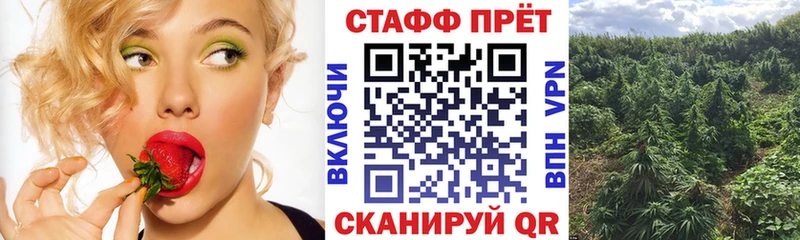 Купить наркотик Нальчик А ПВП Псилоцибиновые грибы МЕФ ГАШИШ Канабис
