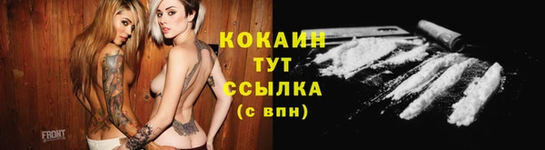 дживик Михайловск