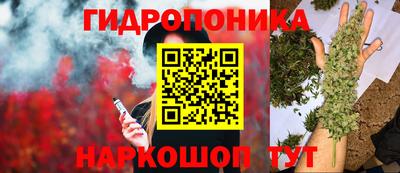 ешки Гатчина