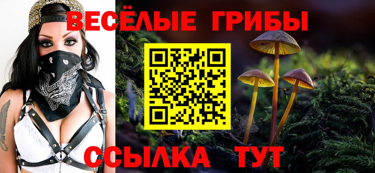 Псилоцибиновые грибы мицелий  Вход с VPN  как найти наркотики  Нальчик  Галлюциногенные грибы ЛСД 